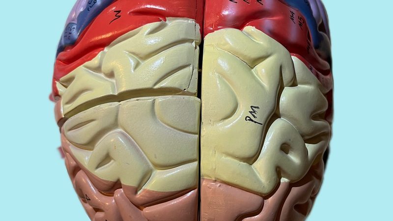 Instagram: A Day in the Life of a Neurosurgeon